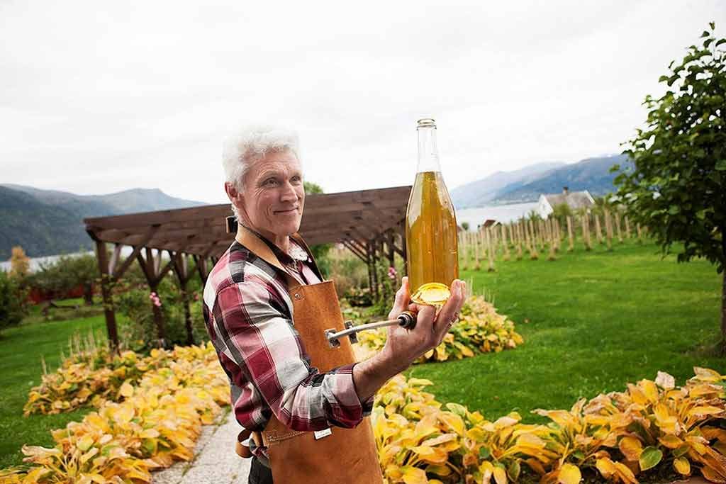 Mann holder flaske med cider