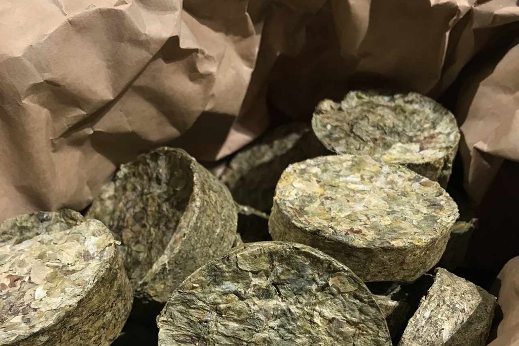 Humle tilfører bitterhet til IPA og andre ølstiler | Ølakademiet AS Humlepellets