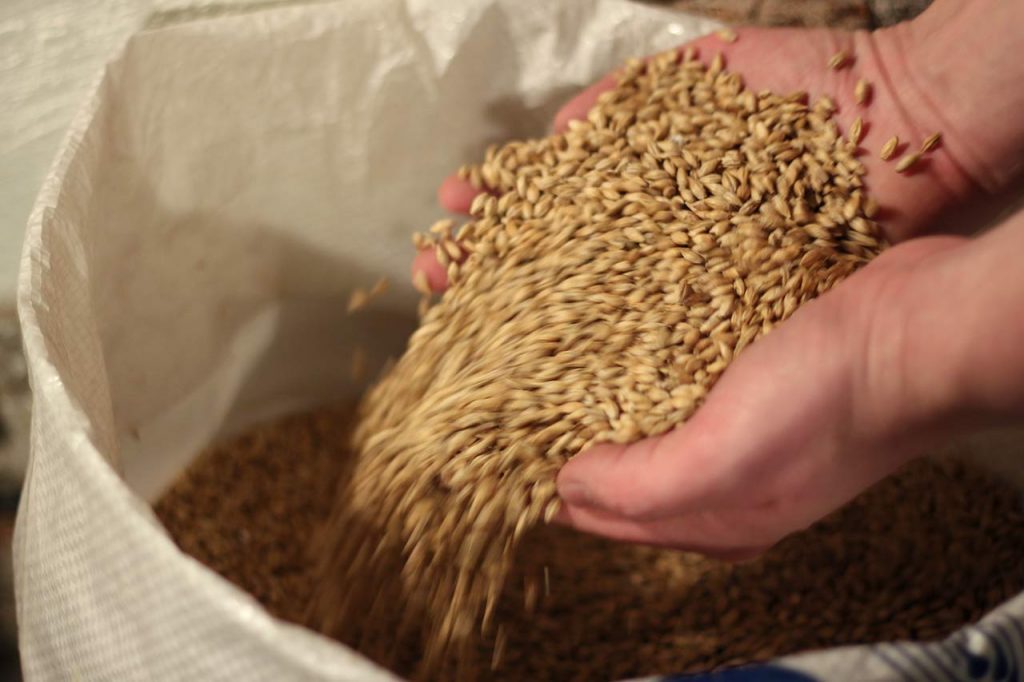 IMG7606maltavbygg | Ølakademiet AS