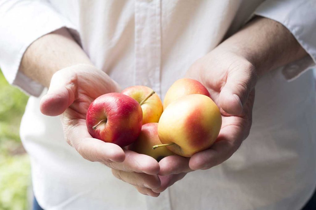 cidertastinginoslo | Ølakademiet AS
