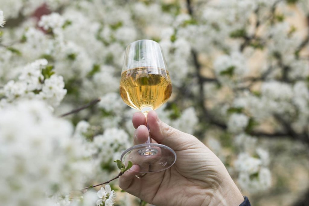 siderselgerstadiggodt | Ølakademiet AS