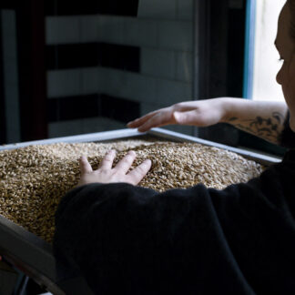 kursiolbrygging | Ølakademiet AS