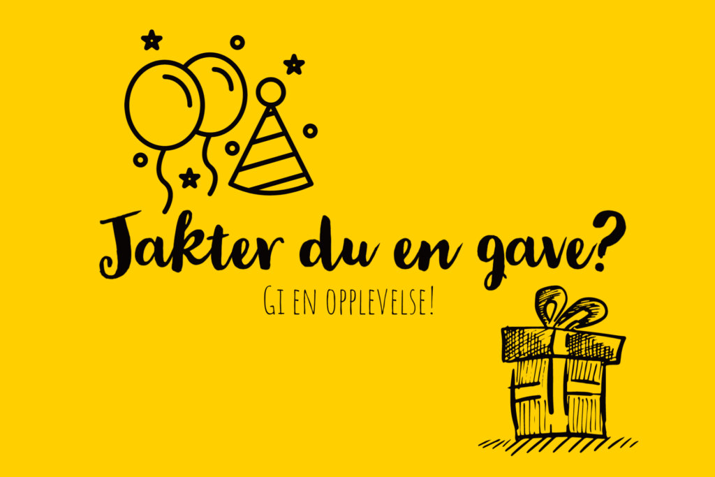 Gode gavetips til bursdager