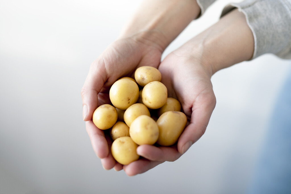 ologakevittsmaking | Ølakademiet AS Oel og akevittsmaking hos Oelakademiet