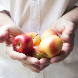 Smakingsideroelakademiet | Ølakademiet AS Sidersmaking med Ølakademiet Bilder av epler