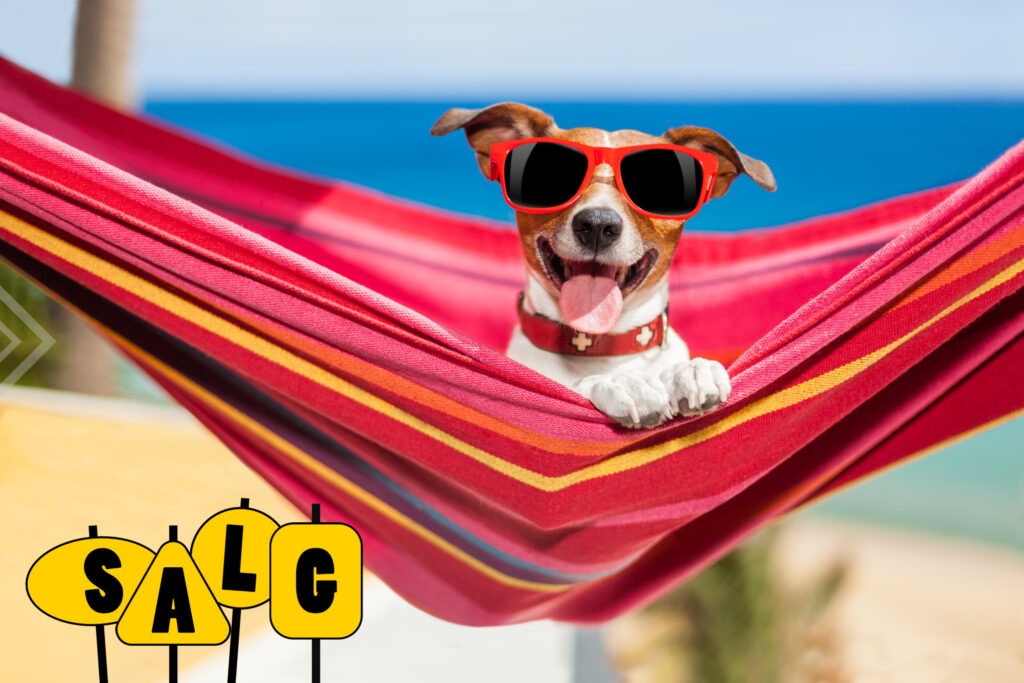 Sommersalg2023Oelakademiet3 | Ølakademiet AS Sommersalg på kurs og smakinger hos Oelakademiet