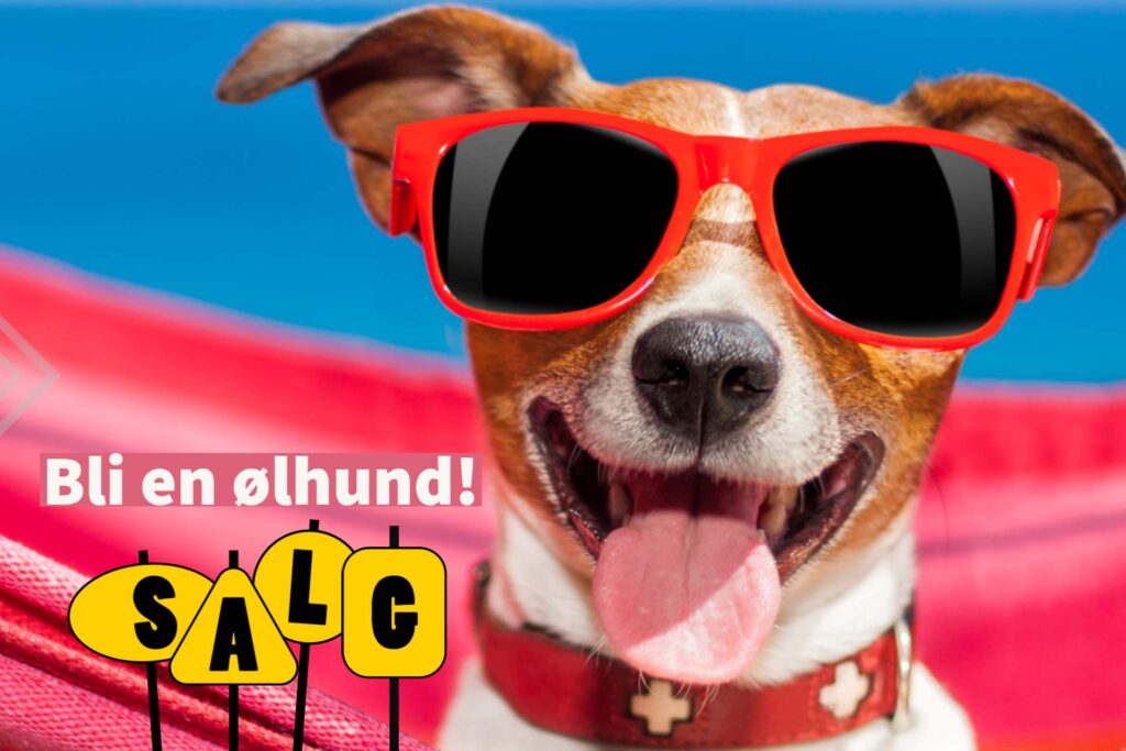 Sommersalgsalgoelakademiet | Ølakademiet AS Sommersalg 2023