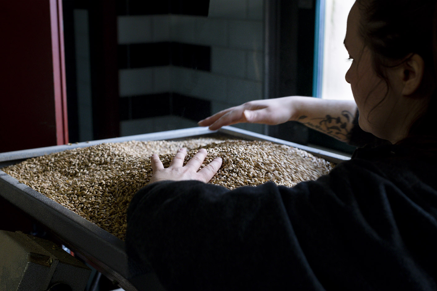 kursiolbrygging | Ølakademiet AS Julegavetips og gavetips fra Øllakademiet til den som brygger øl hjemme eller ønsker å lære det